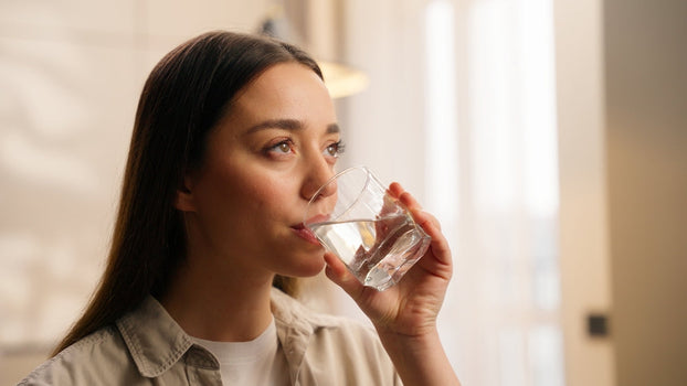 Water Purifiers